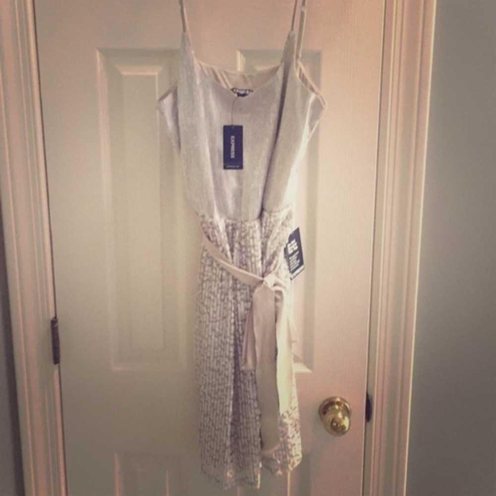 NWT silver Express dress size L​